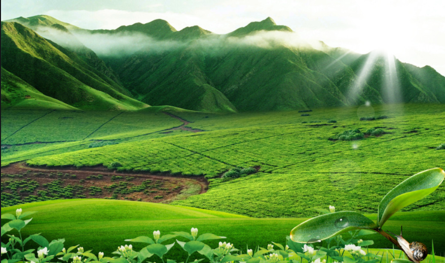 1584619196719999.png 4大技巧解決景區盈利難題2.png