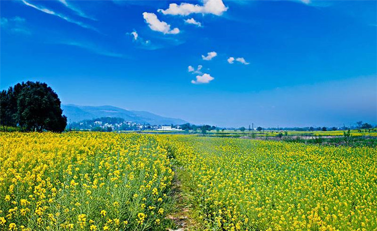 1585902624501191.jpg 景區電子票務分銷系統價格有什么優惠3.jpg