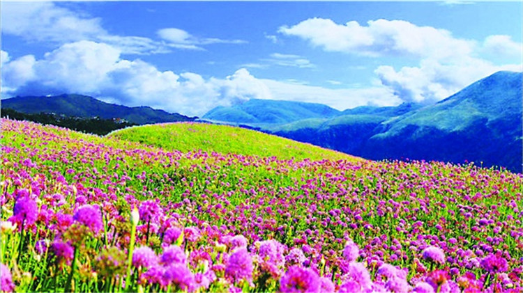 景區(qū)門票實(shí)名預(yù)約系統(tǒng)的4個(gè)營銷關(guān)鍵點(diǎn)5.jpg