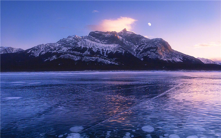 1587888330822155.jpg 景區微信公眾號代運營,你需要的,正是小泥人擅長的3.jpg