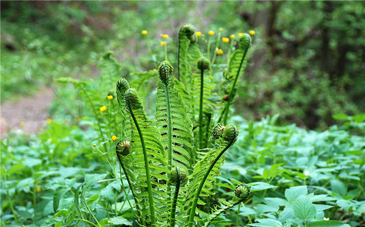 1587888383481290.jpg 景區微信公眾號代運營,你需要的,正是小泥人擅長的2.jpg