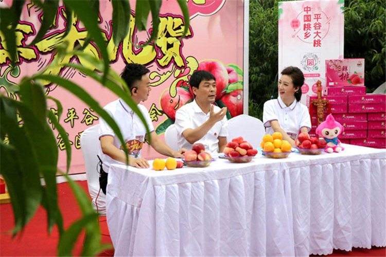 “北京平谷大桃”小程序正式上線，平谷副區(qū)長小程序直播帶貨賣桃2.jpg