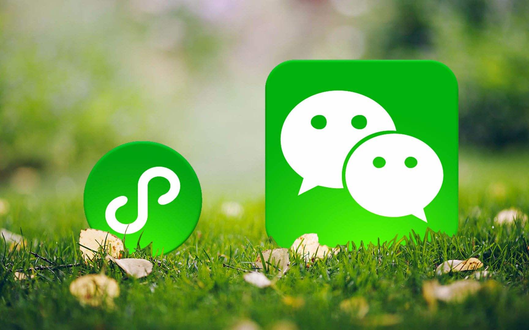 2020年微信小程序直播的專業運營流程 2020年微信小程序直播的專業運營流程