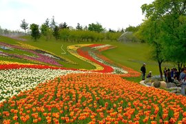 1601475481328754.jpg 91沈陽世博園手繪地圖、語音講解、智能導覽.jpg