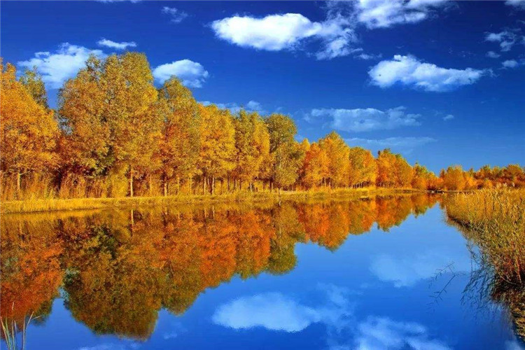 1603088652180441.jpg 阿拉善盟胡楊林旅游區智能導覽系統上線了!包括:游覽路線推薦、語音講解、手繪地圖3.jpg