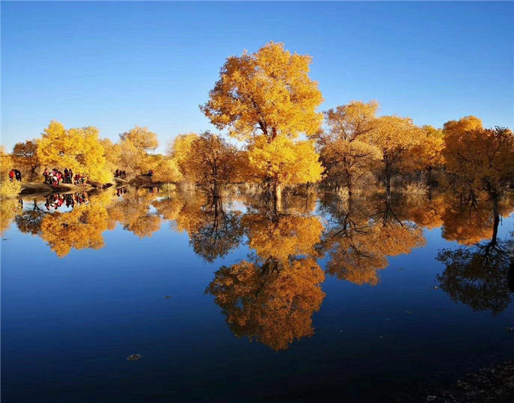 1603088660678284.jpg 阿拉善盟胡楊林旅游區智能導覽系統上線了!包括:游覽路線推薦、語音講解、手繪地圖2.jpg