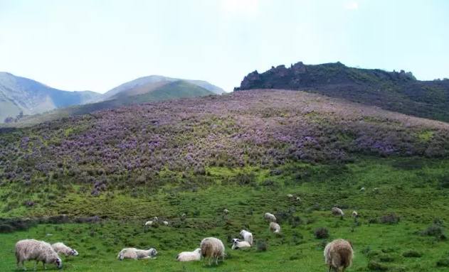 1603683311279172.jpg 2.jpg