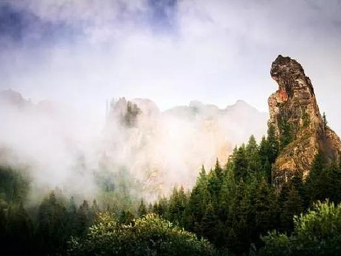 1603683345203443.jpg 3.jpg