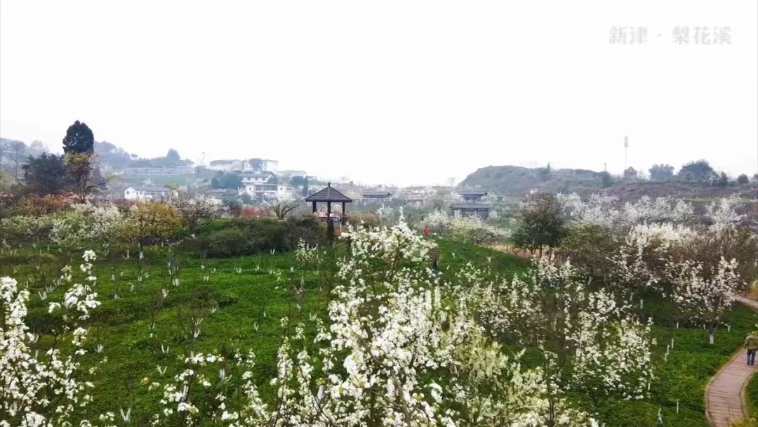 1613787758916914.jpg 2021年四川成都梨花溪景區(qū)手繪地圖、語音講解、電子導(dǎo)覽等智能導(dǎo)覽系統(tǒng)上線.jpg