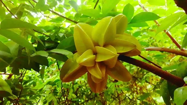 北京第五季龍水鳳港與小泥人合作實(shí)時(shí)監(jiān)控功能，開啟支付寶小程序新時(shí)代！.jpg