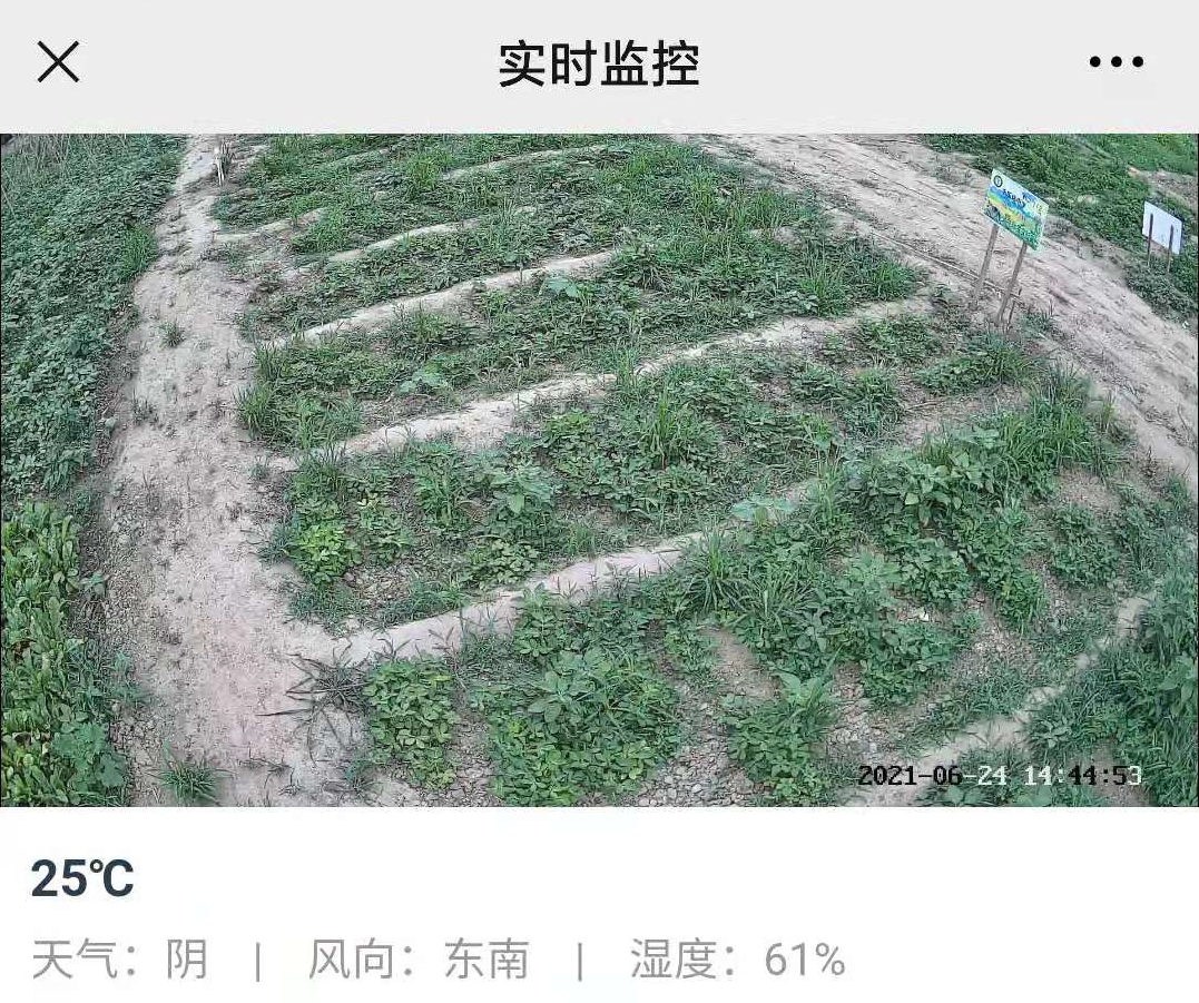 北京第五季龍水鳳港與小泥人合作實(shí)時(shí)監(jiān)控功能，開啟支付寶小程序新時(shí)代！.png