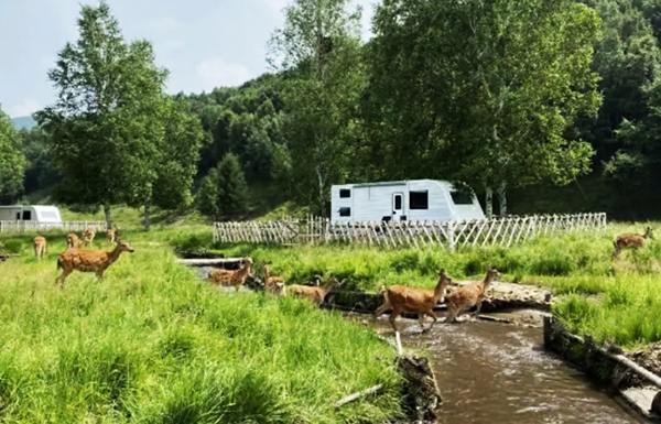 1626661977151875.jpg 內蒙古克什克騰旗國家地質公園手繪地圖、語音講解、電子導覽等智能導覽系統上線.jpg