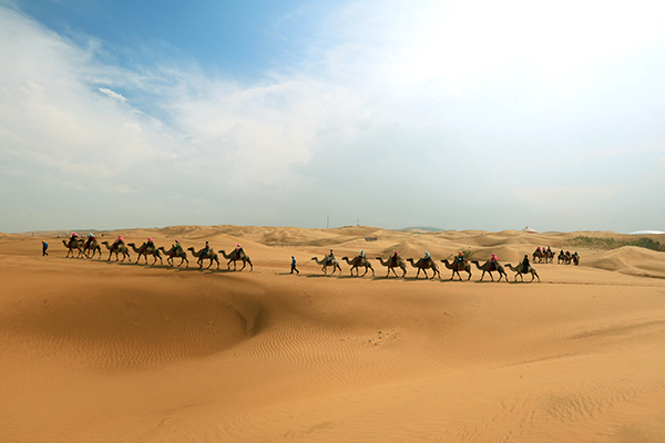 1626922422992305.png 內蒙古響沙灣5A景區手繪地圖、語音講解、電子導覽等智能導覽系統上線.png