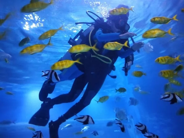 1626926028748679.jpg 內蒙古鄂爾多斯野生動物園手繪地圖、語音講解、電子導覽等智能導覽系統上線.jpg