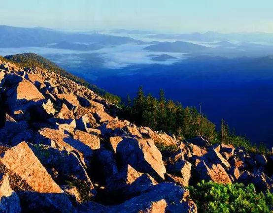 1629354019789632.jpg 2021年哈爾濱一面坡國家森林公園的智能導(dǎo)覽都有哪些新功能?2.jpg