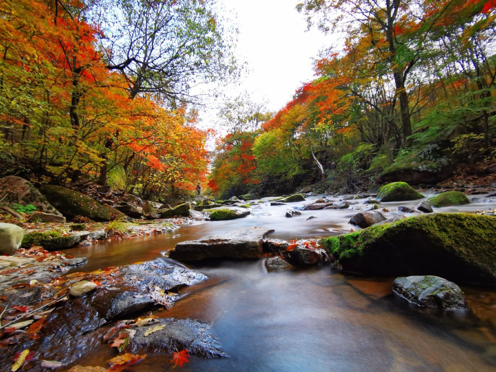 1629881865674718.jpg 本溪老邊溝的智能導覽3大功能上線,什么是智能導覽系統呢?2.jpg