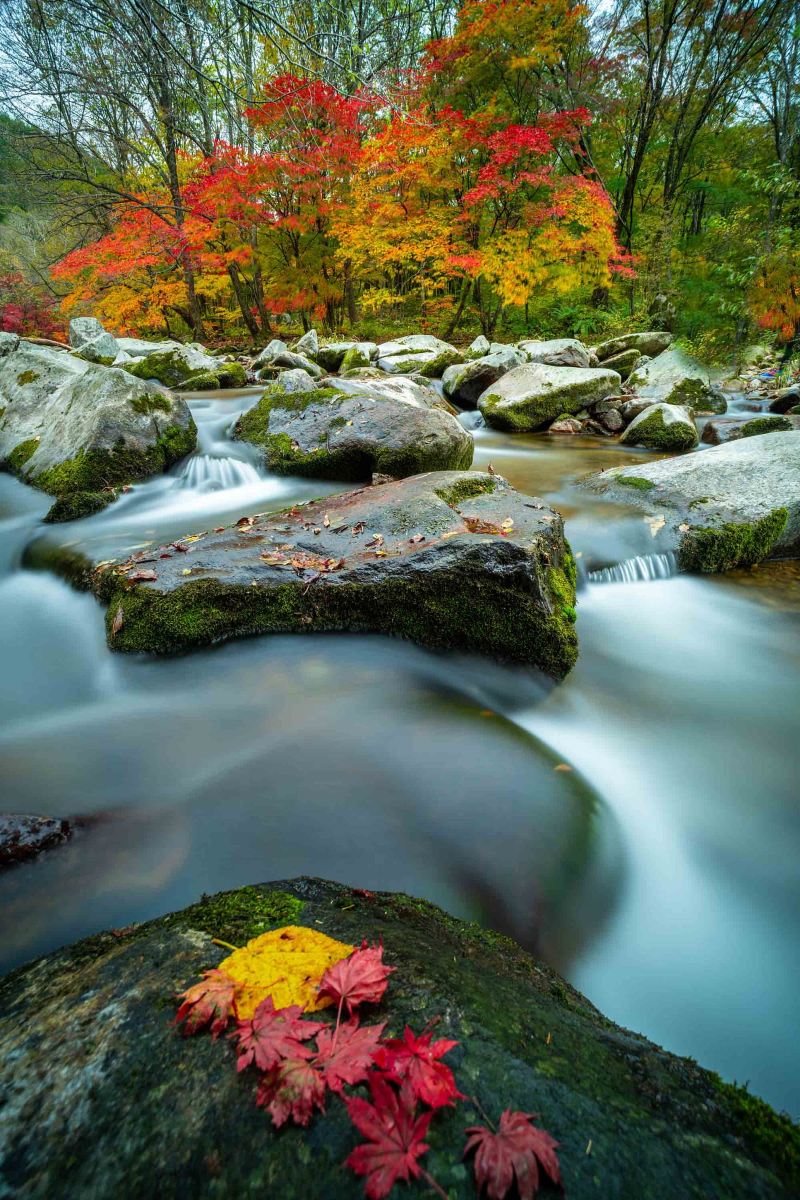 1629881880281785.jpg 本溪老邊溝的智能導覽3大功能上線,什么是智能導覽系統呢?1.jpg