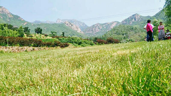 1630480591270393.jpg 常河常馨谷生態(tài)休閑樂(lè)園智能導(dǎo)覽帶你游玩景區(qū)八大項(xiàng)目,還有采摘體驗(yàn).jpg