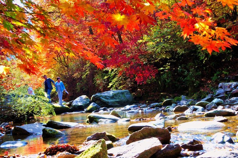 1631502839958507.jpeg 2021年筐子溝風景區(qū)的智能導覽5大功能,帶你了解原生態(tài)風景區(qū)1.jpeg