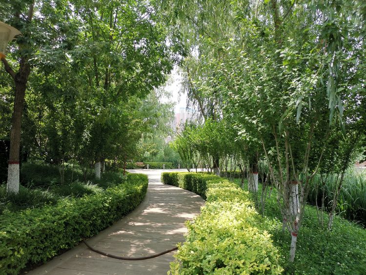 鹿泉石柏公園語音講解憲法知識，寓教于樂，語音講解優(yōu)勢盡顯.jpg