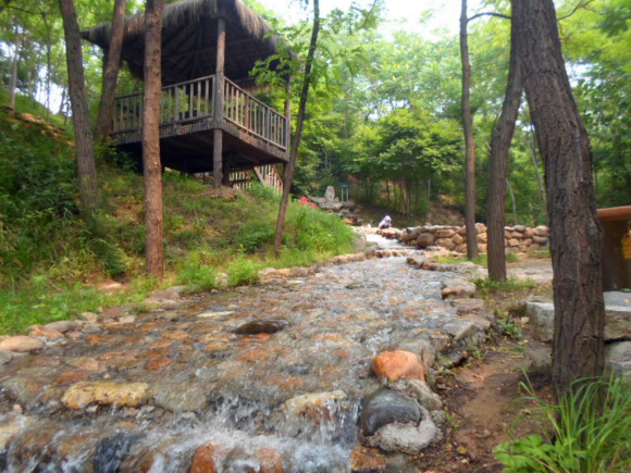 1631659734210001.jpg 天一莊園手繪地圖功能更新啦,手機導覽讓游玩更有趣5.jpg