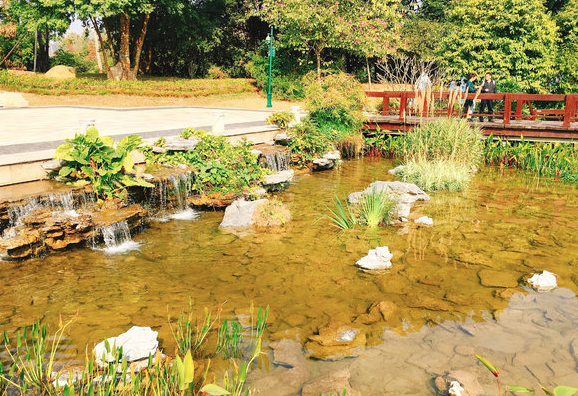 1634551341499127.png 廣州海珠國家濕地公園手繪地圖導覽系統(tǒng)功能.png