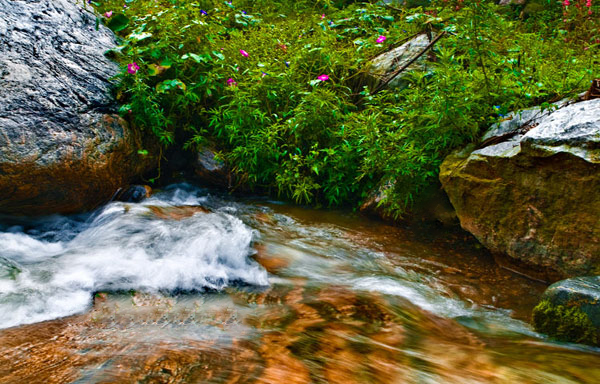 1634888114324105.jpeg 水泉溪景區智能導覽制作公司.jpeg