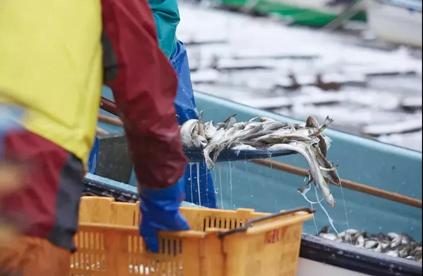 1635321152920801.jpg 白洋淀手繪全景介紹.jpg