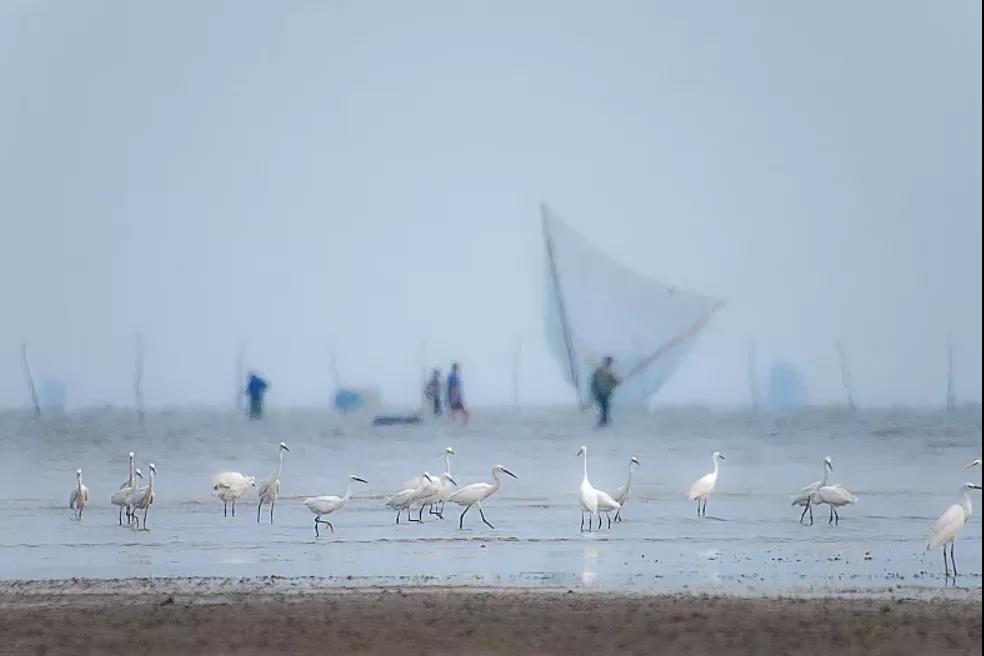 1635321188442508.jpg 白洋淀手繪全景制作公司.jpg