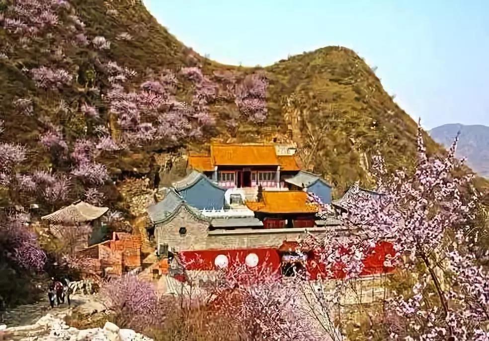 1638177361995157.jpg 雞鳴山景區鴻蒙原子化服務項目.jpg