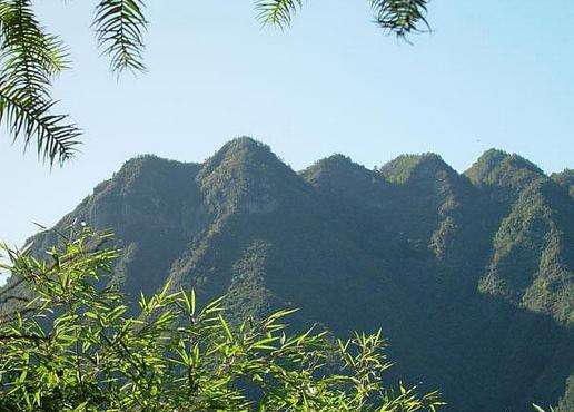 1642582739288077.jpg 河北五峰山景區智能導覽特色功能.jpg