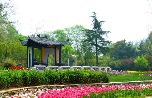 1646637022162089.jpeg 武漢植物園智慧導覽系統服務商.jpeg