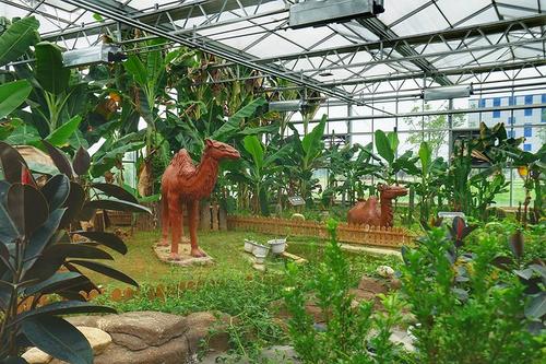 植物園票務系統為門口驗票通道提供多種驗票方式.jpg