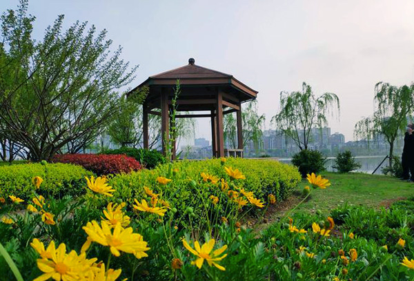 1647237383887903.jpeg 武漢南湖幸福灣水上公園智慧導覽功能.jpeg