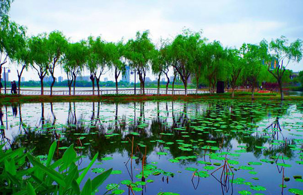 1647239939701046.jpeg 武漢金銀湖水利風景區智慧導覽功能.jpeg