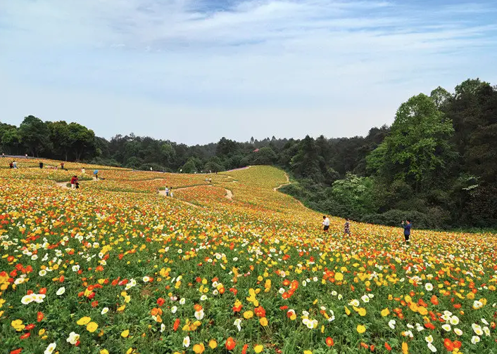 被譽為“中國達沃斯，成都御花園”的石象湖景區智慧電子導覽上線了.png