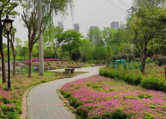 1651399800242327.jpg 武漢和平公園智慧導覽功能.jpg