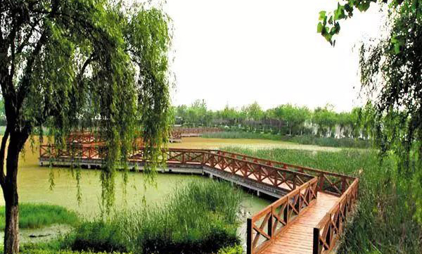 1651815071408870.jpg 武漢東湖吹笛景區手繪地圖導覽功能.jpg