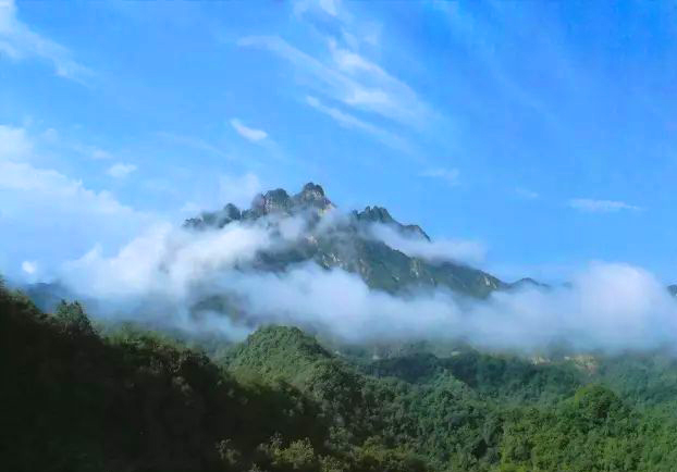 1651817583121866.jpg 九峰國家森林公園智慧電子導覽.jpg