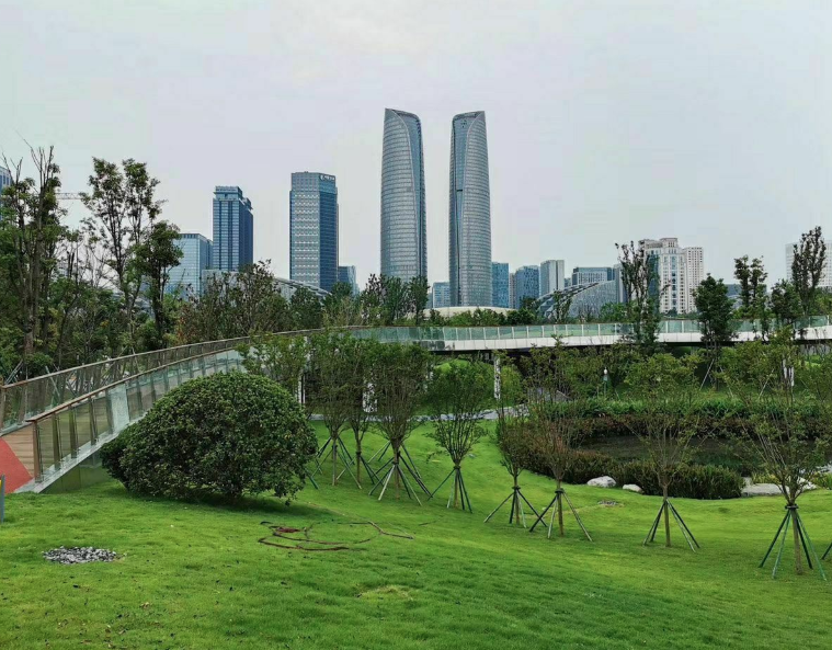 交子公園智能地圖導(dǎo)覽上線結(jié)合現(xiàn)場實景還原公園地圖.png