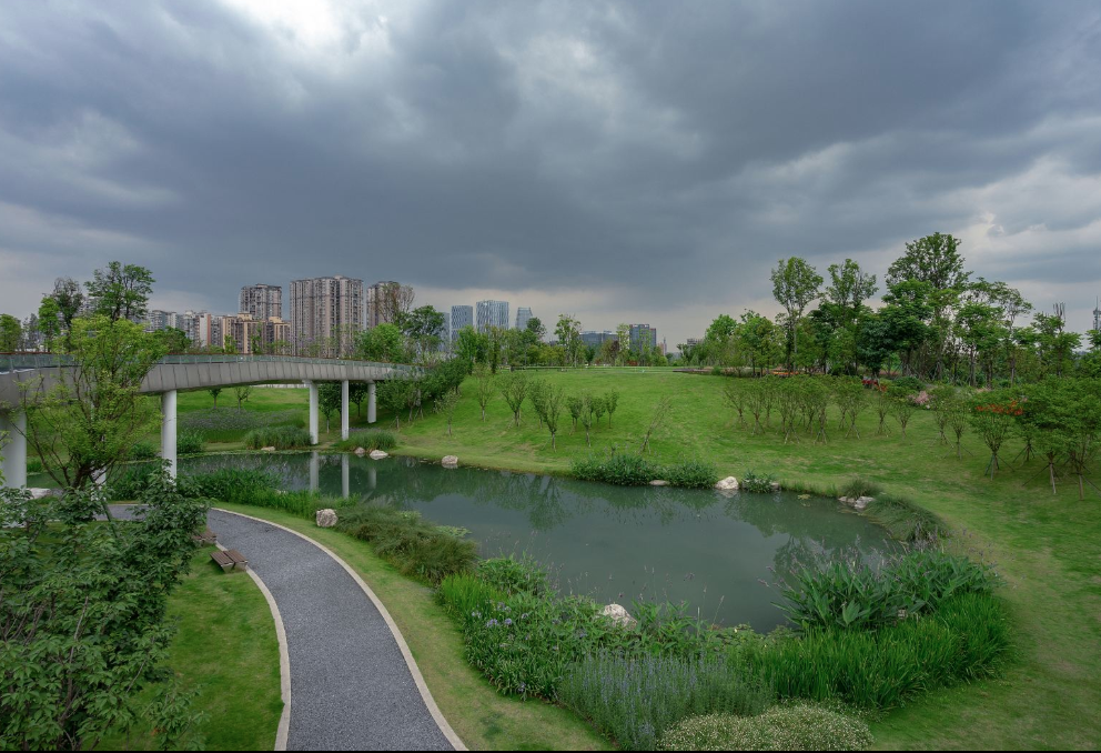 交子公園智能地圖導(dǎo)覽上線結(jié)合現(xiàn)場實景還原公園地圖.png