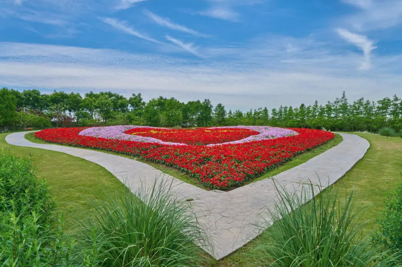 花鄉公園智能電子導覽上線了解花鄉的獨特魅力.png