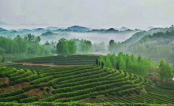 1661393430889122.jpg 五山堰河村鄉(xiāng)村旅游區(qū)電子導(dǎo)覽系統(tǒng)小程序功能.jpg