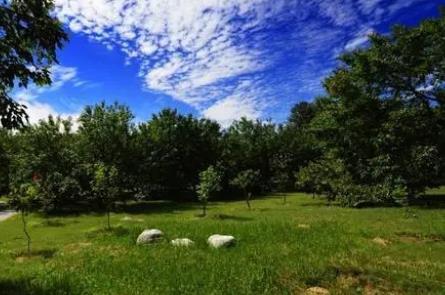 溫泉度假村旅游景區(qū)手環(huán)門禁系統(tǒng).jpg