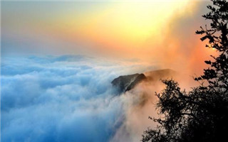 景區(qū)票務(wù)系統(tǒng)分潤管理解決方案.jpg