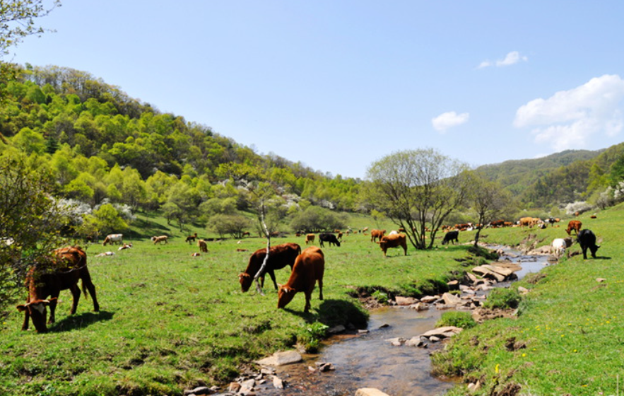 1687773517461931.jpg OTA分銷、收銀、餐飲.jpg