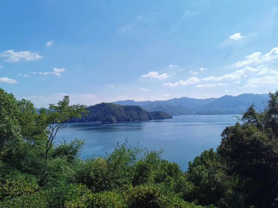 1691023507299605.jpg 電子票系統(tǒng)建設(shè)的實(shí)際效益.jpg