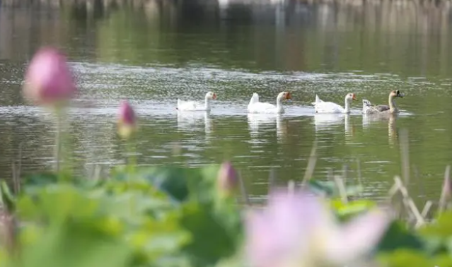 1691131130479374.png 微信截圖_20230804144211.png