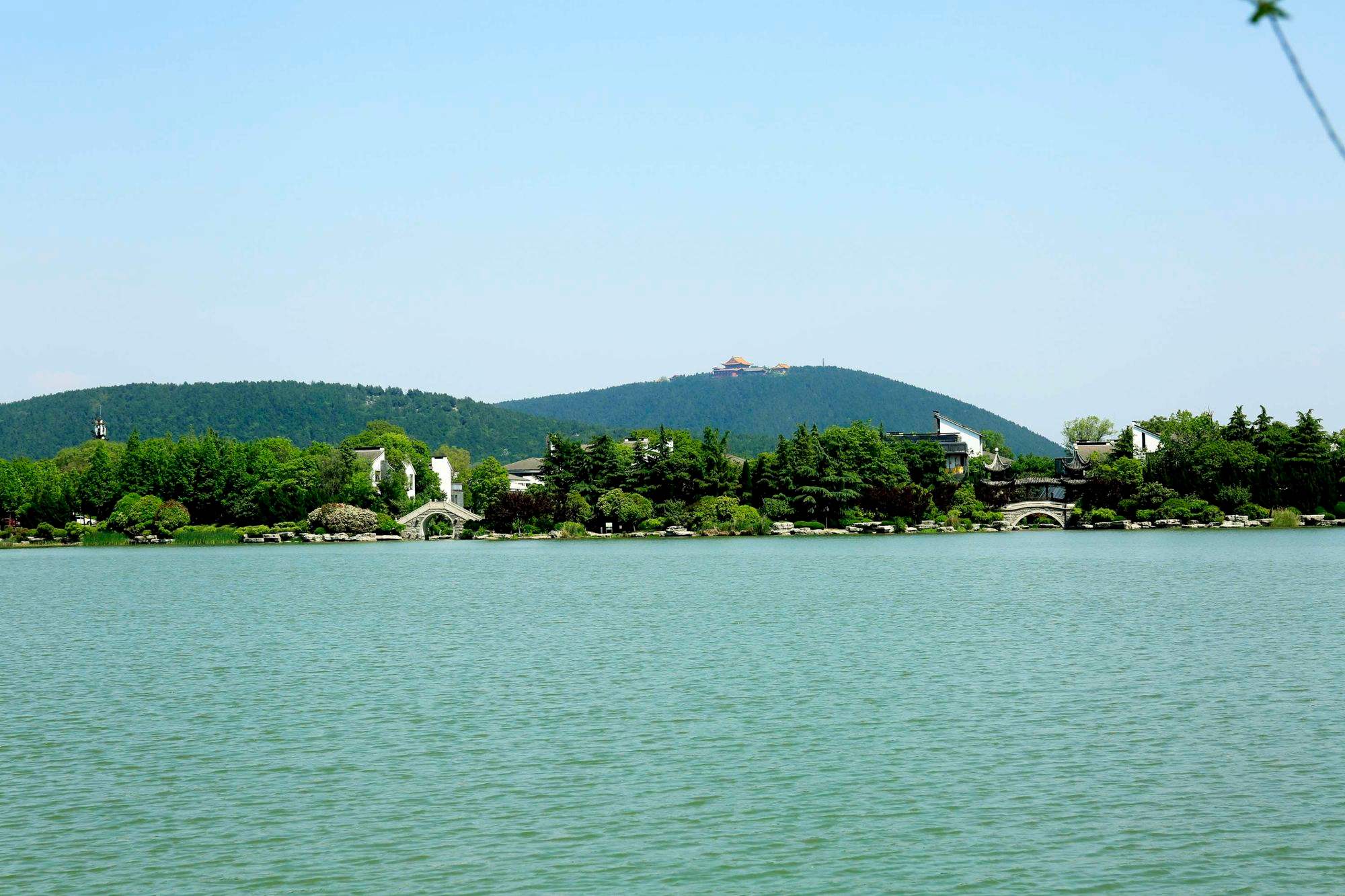 1694163435750164.jpeg 1694163435750164.jpeg