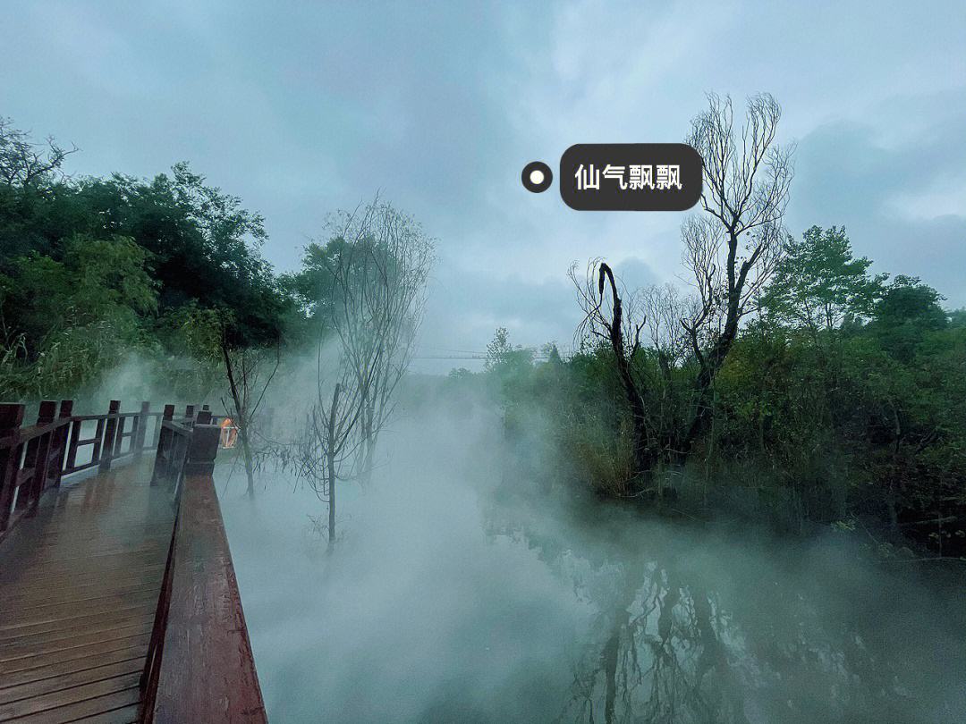 1694163798337859.jpeg 1694163798337859.jpeg